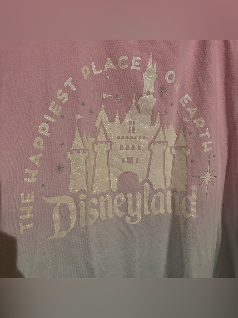 Disneyland Pink and Blue Castle Sweater